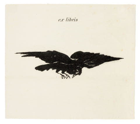 Flying Raven by Édouard Manet — complete composition