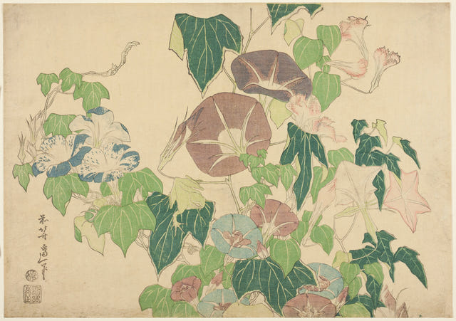 Morning Glories and Tree-frog by Katsushika Hokusai — complete composition