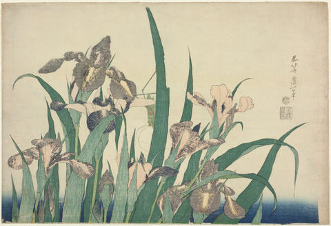 Iris and Grasshopper by Katsushika Hokusai — complete composition