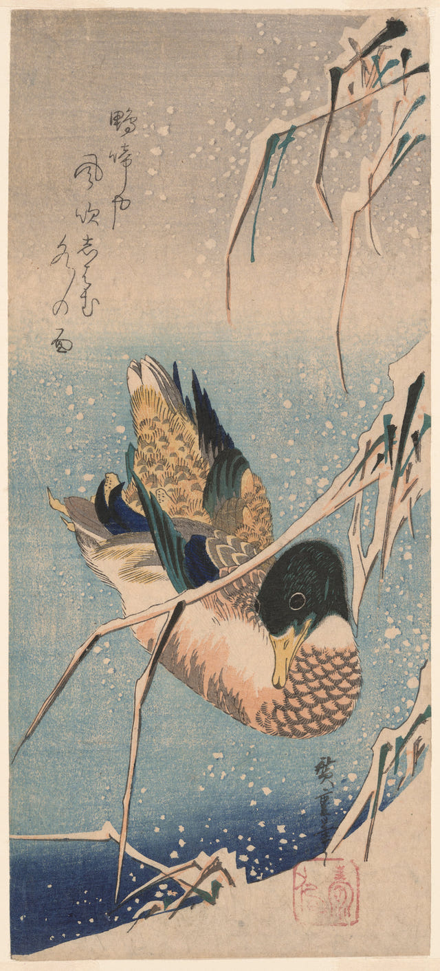 Wild Duck by a Snow-Covered Bank by Utagawa Hiroshige — complete composition