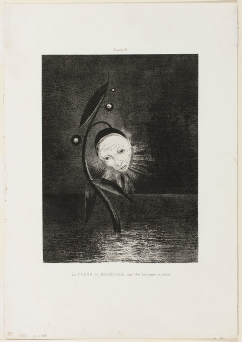 The Marsh Flower, a Sad Human Head by Odilon Redon — complete composition