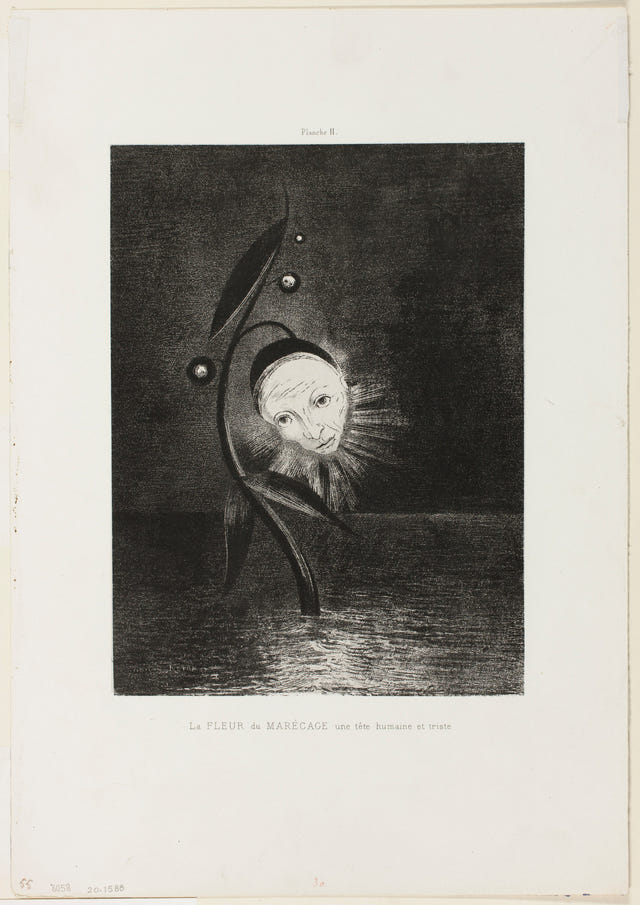 The Marsh Flower, a Sad Human Head by Odilon Redon — complete composition