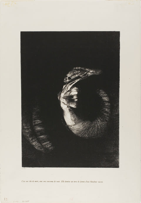 A Skull Wreathed in Roses by Odilon Redon — complete composition