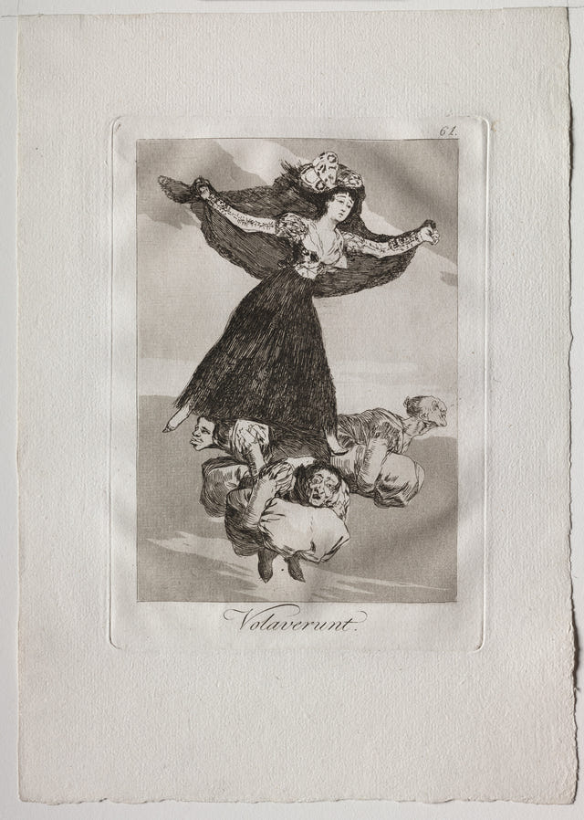 They Have Flown by Francisco de Goya — complete composition