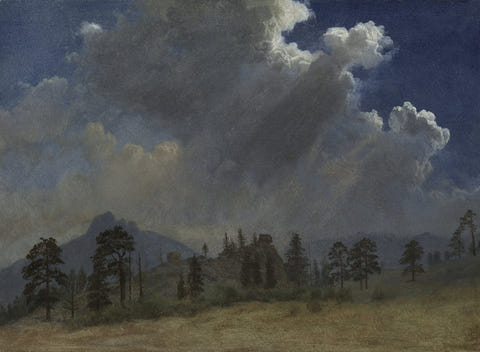 Albert Bierstadt — Fir Trees and Storm Clouds