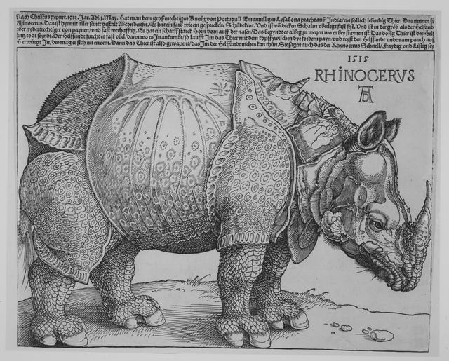 The Rhinoceros by Albrecht Dürer — complete composition