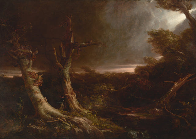 Tornado in an American Forest by Thomas Cole — complete composition