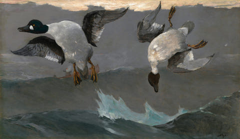 Right and Left by Winslow Homer — complete composition