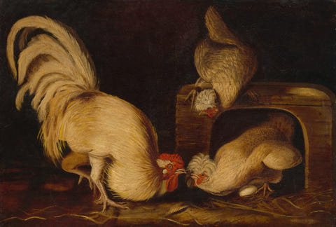 Farmyard Fowls by John James Audubon, complete composition