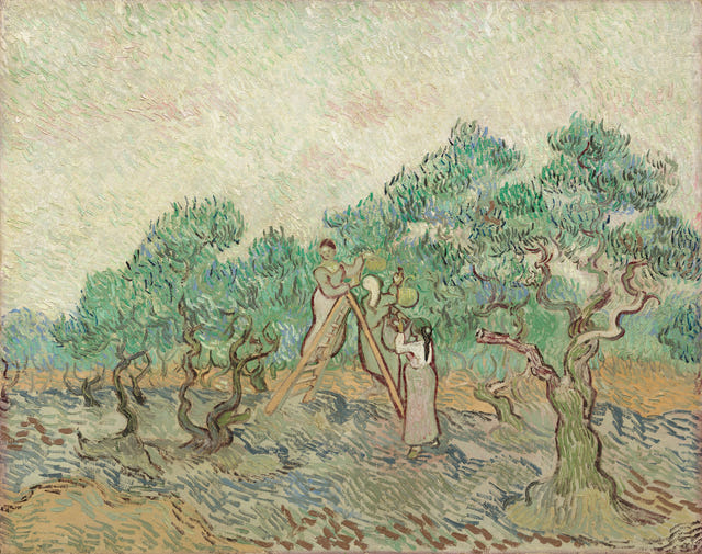The Olive Orchard by Vincent van Gogh, complete composition