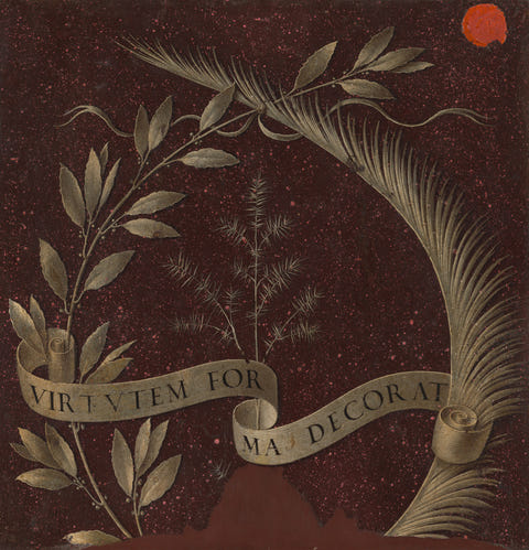 Wreath of Laurel, Palm and Juniper by Leonardo da Vinci — complete composition
