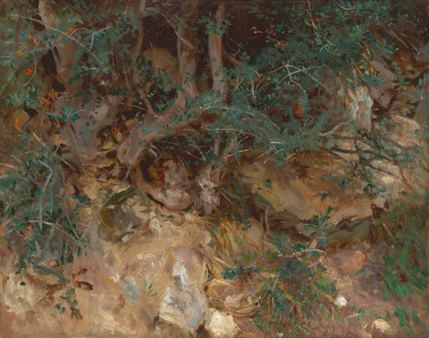 John Singer Sargent — Wild Olive Tree Roots, Valldemosa, Majorca
