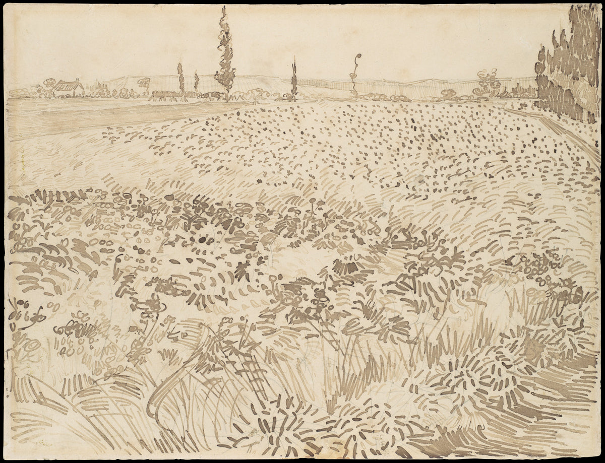 Wheat Field by Vincent van Gogh