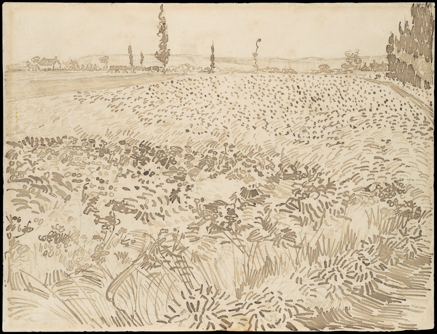 Wheat Field by Vincent van Gogh